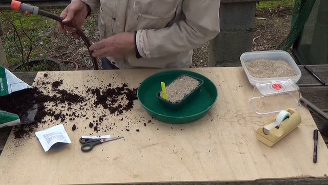 Stevia kweken смотреть онлайн