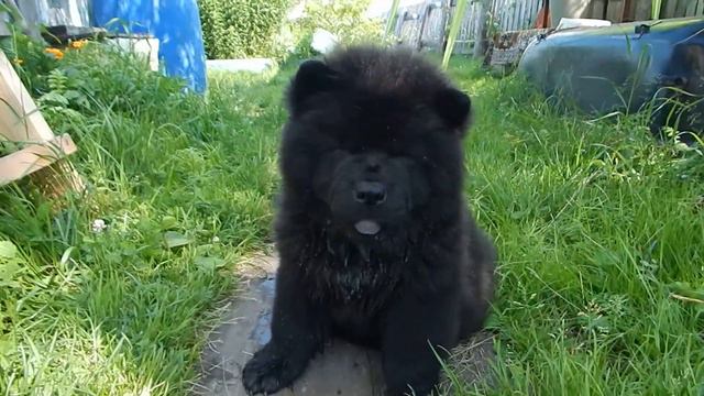 DSCN5592 смотреть онлайн