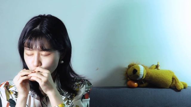 【blues harp】《好久不见》陈奕迅经典歌曲口琴演绎｜园园sonoko｜boogieman paddy c смотреть онлайн