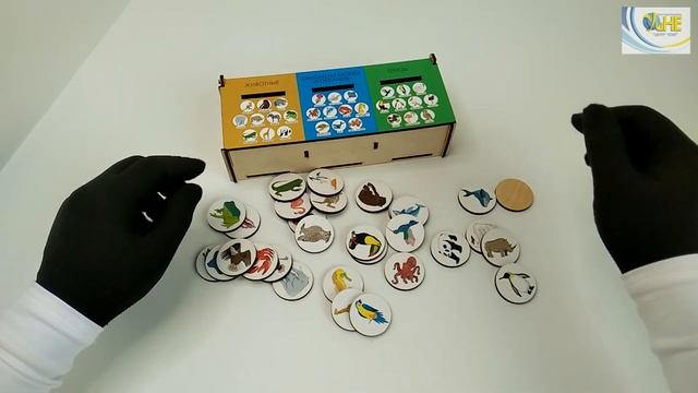 ИГРА СОРТЕР НА ТРИ ЯЩИКА «ПТИЦЫ, ЖИВОТНЫЕ, ВОДНЫЕ» смотреть онлайн
