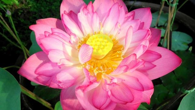 "Перепрограммирование" Причины и Следствия в нынешних непростых условиях на высшее благо всех.