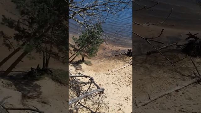 Рига..Межапарк...Свобода.... смотреть онлайн