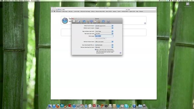 How to set your Home Page on Safari (Mac) смотреть онлайн