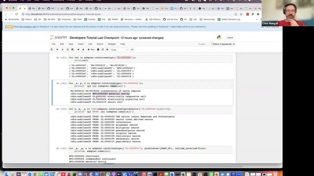 OAK as a python library for accessing an ontology смотреть онлайн