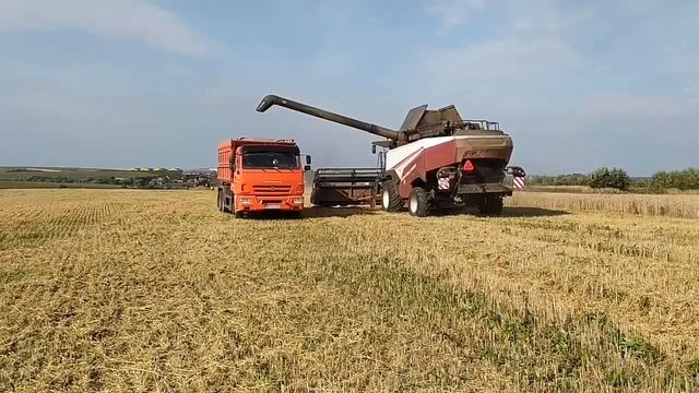 Уборка урожая 2020 смотреть онлайн