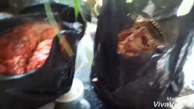 (1 ЧАСТЬ)КАКИЕ КОСТИ МОЖНО ДАВАТЬ СОБАКАМ смотреть онлайн