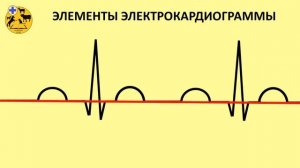 ЭКГ В ВЕТЕРИНАРИИ УРОК 1