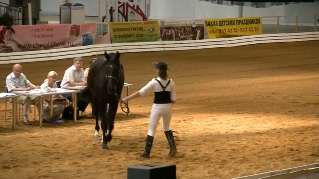 Вороная кобыла Адиабека смотреть онлайн