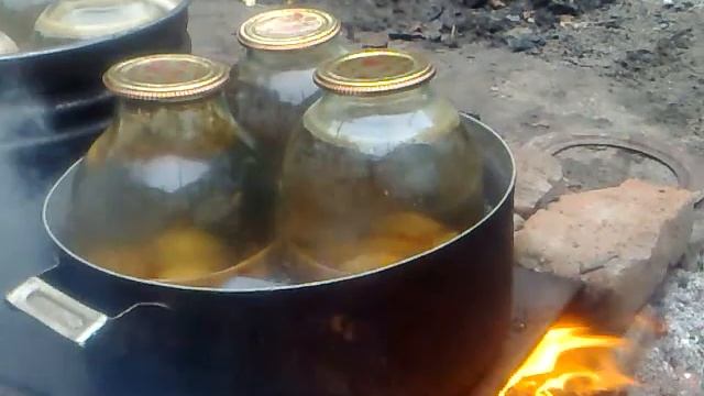 Кулинарное творчество для всех возрастов 