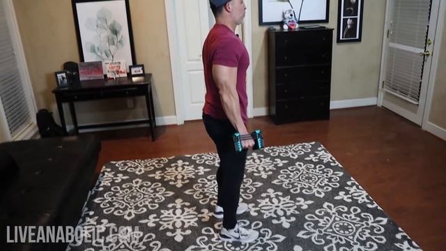 Full Body Dumbbell Beginners Workout For Men At Home (DO THIS!) смотреть онлайн