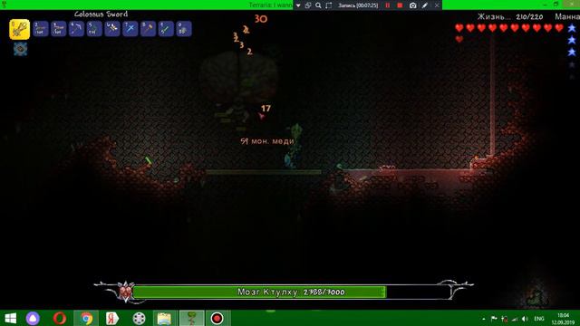 терария с модами #4