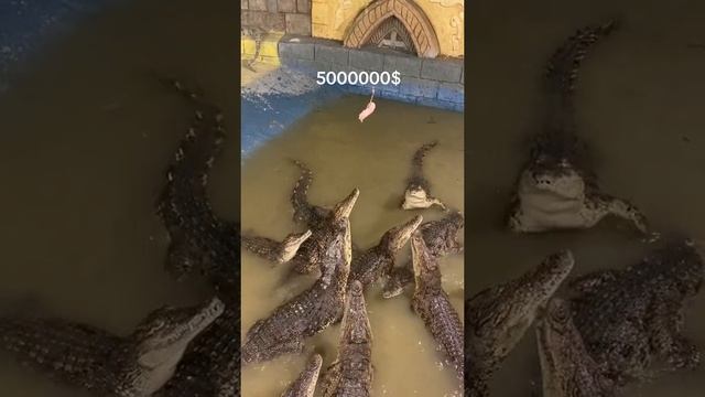 1000285127.mp4 смотреть онлайн