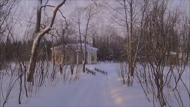 Екатерининский парк. Санкт-Петербург. Январь - 2023 смотреть онлайн