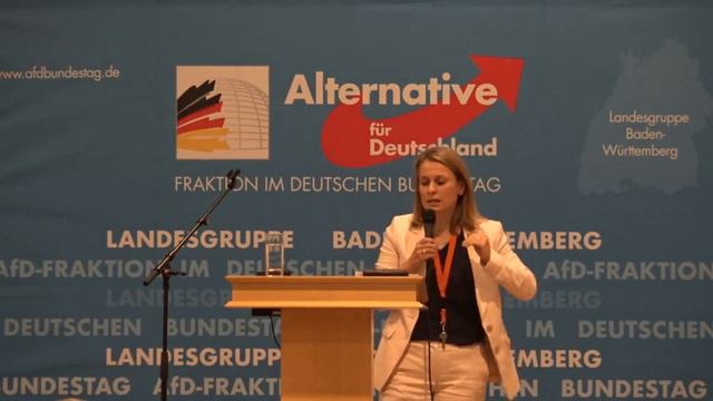 Corinna Miazga MdB "Zukunft der Automobilindustrie" in Stuttgart Rot am 31.10.2018 смотреть онлайн