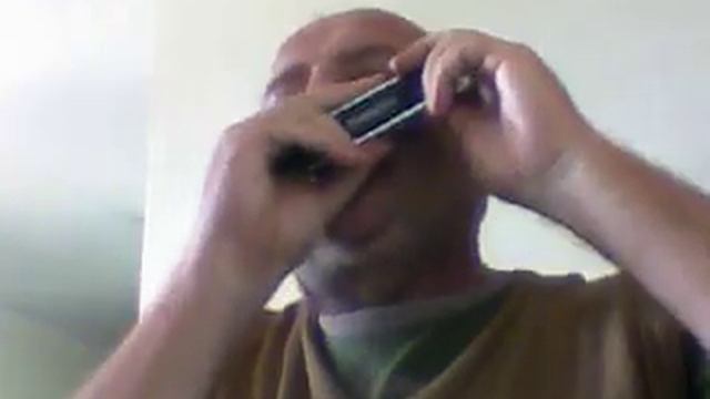 mario da gaita saudades de matao na harmonica harmonic hering смотреть онлайн