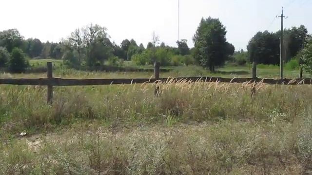 MVI_3357.avi смотреть онлайн