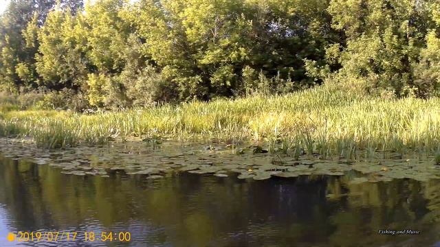Рыбалка сплавом по малой реке Бузулук. Щуки и голавли на 110 воблер. Скворцовский камыш. Часть #3. смотреть онлайн