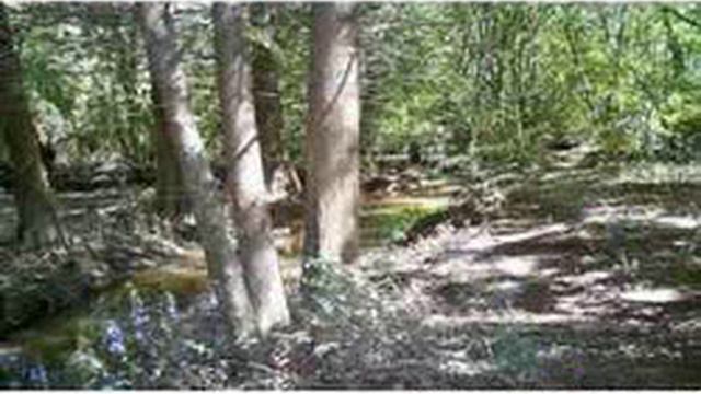 isla de 30 hectareas en el delta 2 seccion muy alta isla en el delta 2 смотреть онлайн