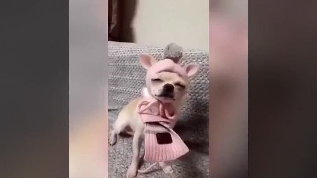 Озвучка.laughter