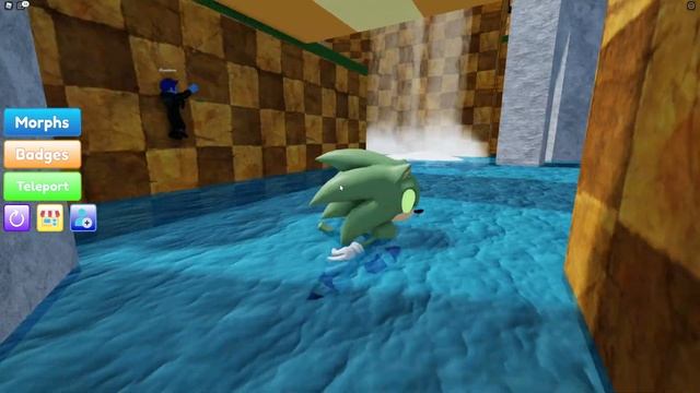 How To Get The *VENOM SONIC* In Roblox Find The Sonic Morphs! смотреть онлайн