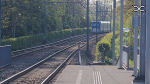 RandstadRail Trams in Zoetermeer en Den Haag | HTM | R-net | Semi-metro | Zoetermeer Stadslijn