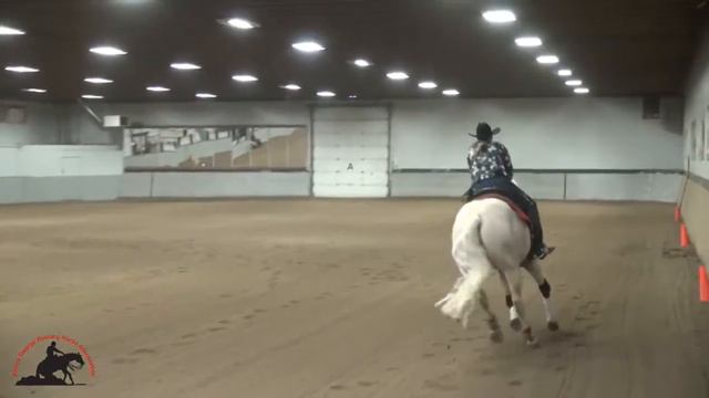 Berry Finnomenal - NRHA L4 Futurity Run in Prince George 2017 смотреть онлайн