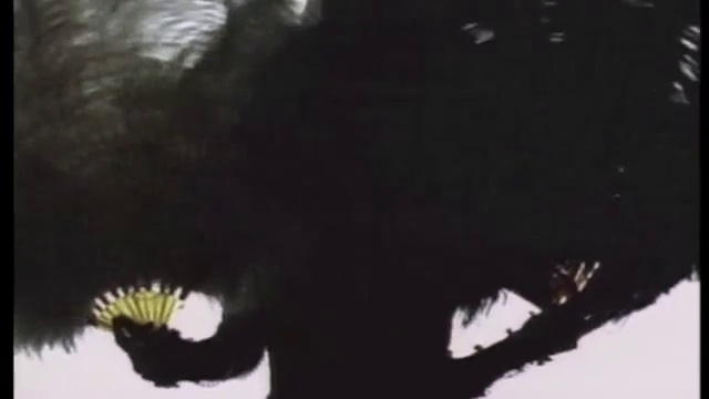 Siouxsie And The Banshees - Peek-A-Boo смотреть онлайн