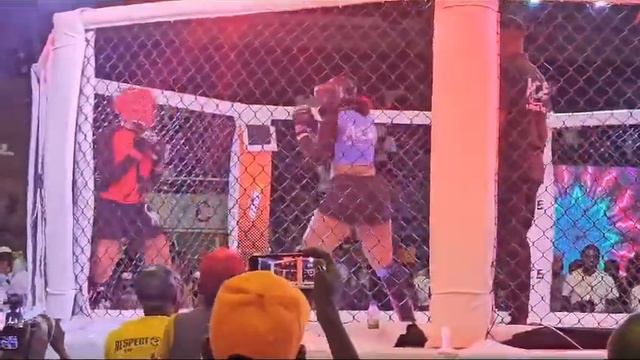 Jéssica Pitbull vs Samara Panamera Lut@ MMA primeira luta em Angola смотреть онлайн