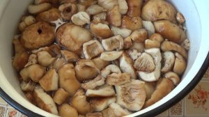 Как засолить кульбики(валуи)/ очень вкусно и просто