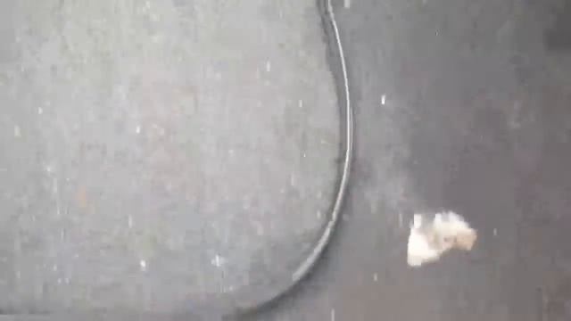 Alternator Clutch Pulley Replacing - VW - JETTA TDI - 2001 смотреть онлайн