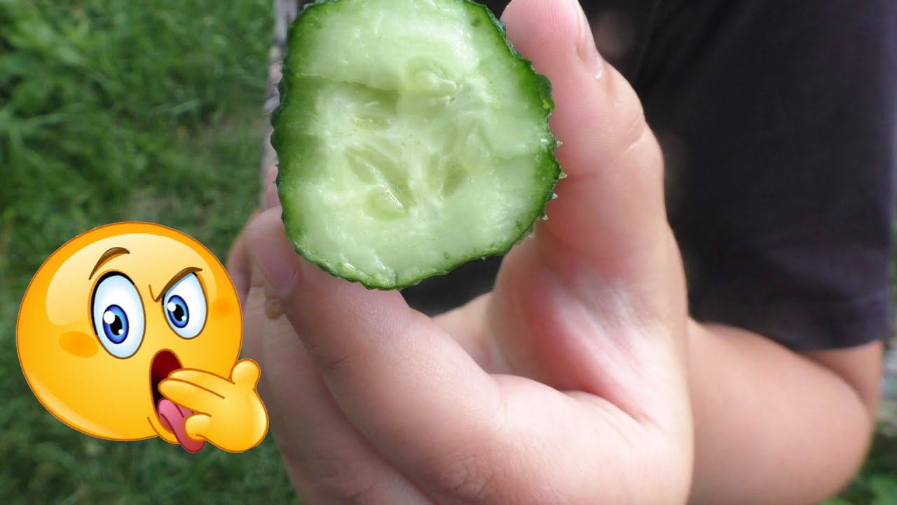 Причина горьких огурцов и что делать смотреть онлайн