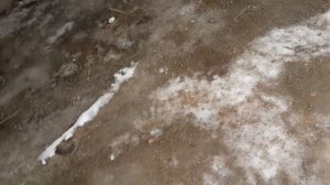 Печка  газ 3307