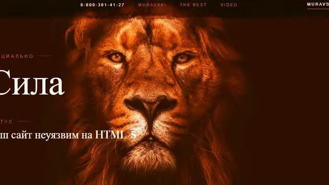 Фоновое видео для сайта смотреть онлайн