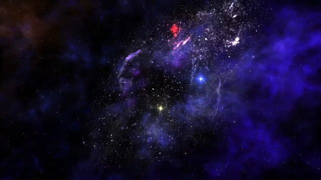 Шалом Шварц Краткая биография смотреть онлайн