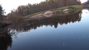 В этой ЯМЕ их реально МНОГО/ Ловля НАЛИМА осенью/Донка оснастка