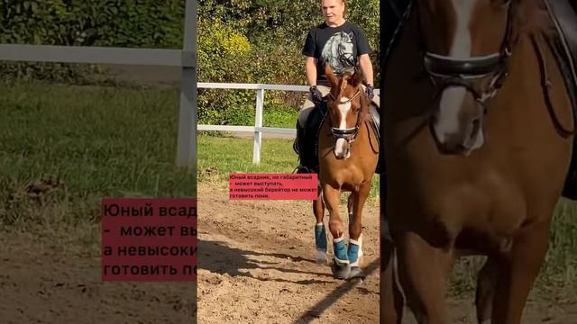 #shorts а кто будет заезжать пони? Сами дети?🤔