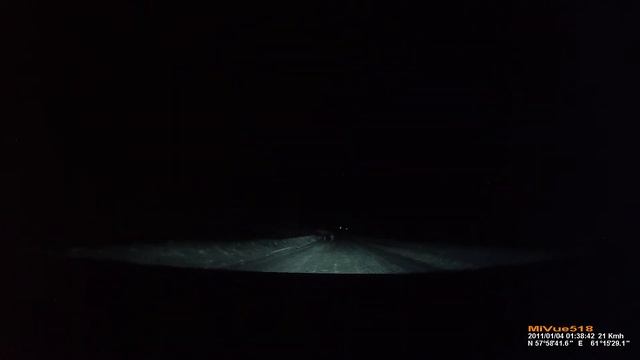 Лось на дороге Верхняя Синячиха - Нижняя Салда смотреть онлайн