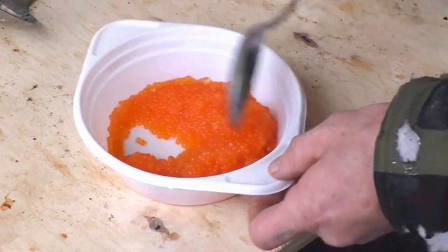 Засолка форелевой икры в полевых условиях смотреть онлайн