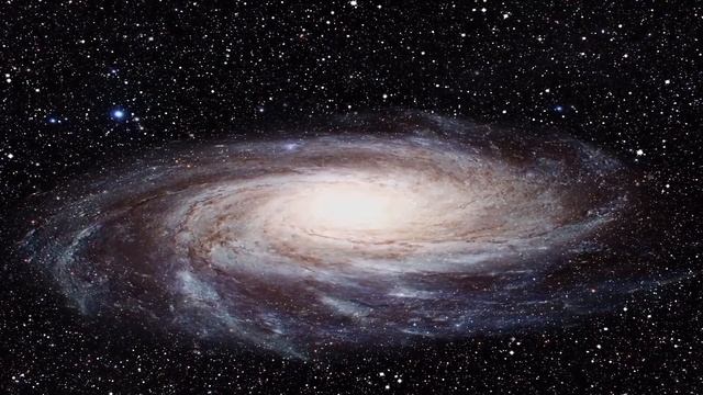 Собака в 2021 году, году Быка. Восточный гороскоп на 2021 год. смотреть онлайн