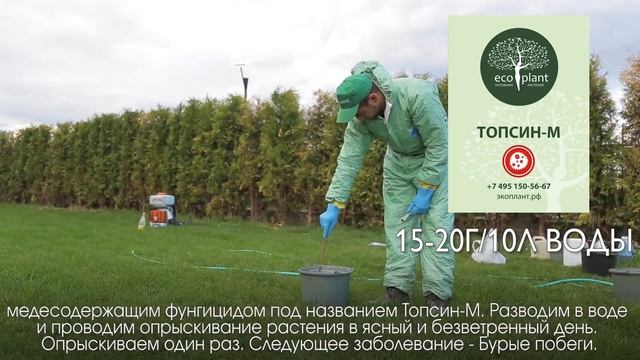 5 Болезней Туи и их Лечение? ТУЯ болеет - что делать? смотреть онлайн