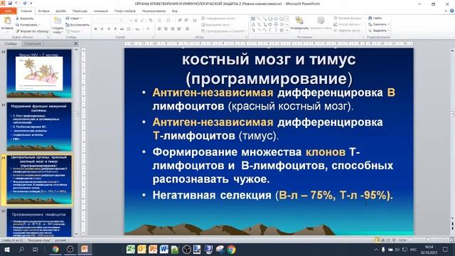 Органы кроветворения и иммунологической защиты (Г.Ф.Филимонова)