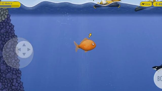 Рыба ест всё!?Треееш!!! смотреть онлайн