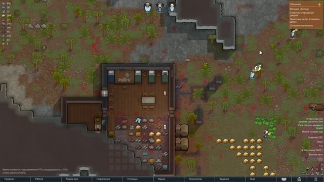 Развиваем поселение I Взяли пленника I RimWorld #2 смотреть онлайн