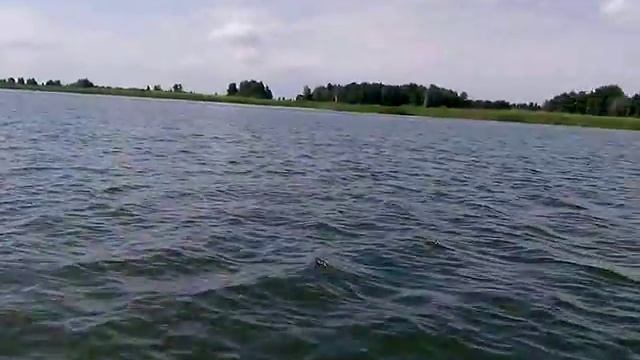 Ямаха 5л.с. + ривьера 3200 смотреть онлайн