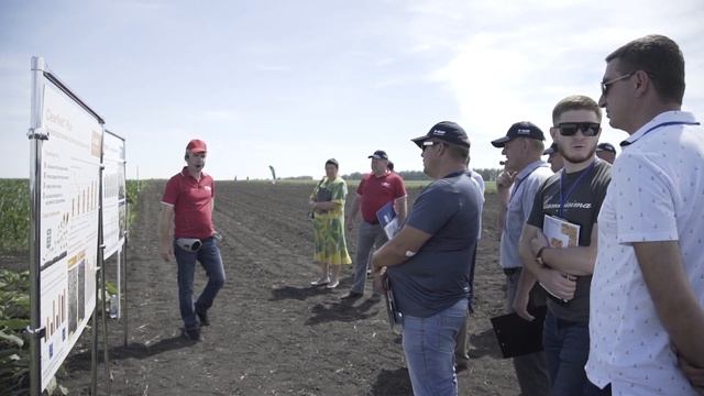 Эффективная защита подсолнечника смотреть онлайн