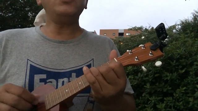 【カバー】The Rose смотреть онлайн