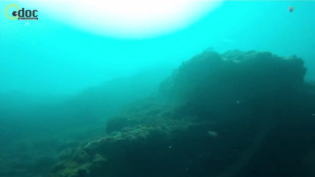 Sparus aurata, Francisco Narvaez make a long shoot. Odoc.tv смотреть онлайн