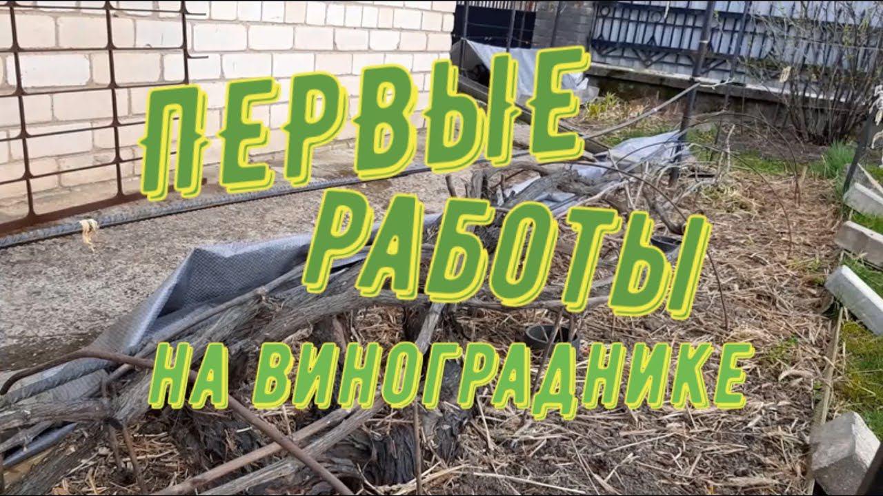 Первые работы на винограднике Открытие сезона смотреть онлайн