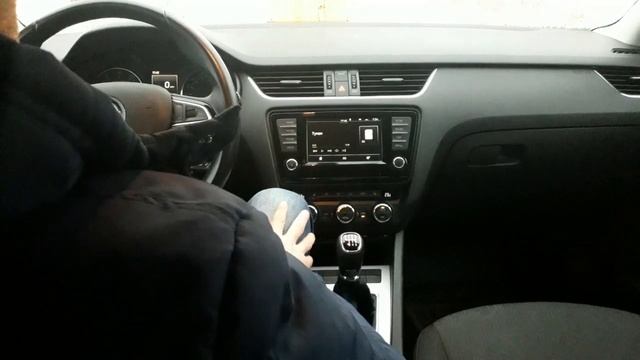 Skoda: Водонакопление. Бич современных Моторов (2020)