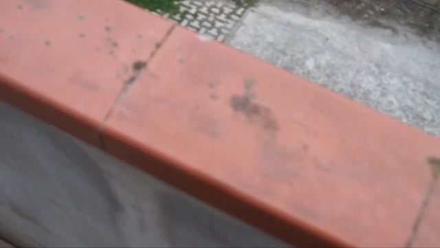 Camera Jib Crane Test Video Sony A33